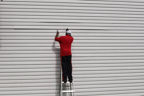 Best Steel Siding Installation  in , PA